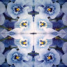 Салфетка для декупажа "Синие виолы", квадрат, размер 33х33 см, 3 слоя