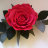 Брошь-роза из фоамирана, 10 см, арт. QS-ROFOM-006
