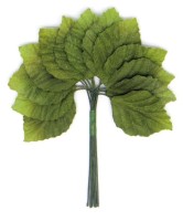 Декоративный букетик "Зеленые листья", 12 шт., MR-DKB200