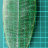 Молд лист плюмерия большой для полимерной глины, арт. QS-S90162