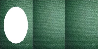 Большие открытки 3 шт., вырубка ОВАЛ, фетр цвет зеленый, размер при сложении 155х205мм Открытки с тройным сложением (размер при сложении 155х205мм, в развороте 205х460мм), 260гр., 3 шт. С тиснением фетр (тонкая полоска)