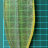 Молд лист плюмерия средний для полимерной глины, арт. QS-S90164