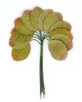 Декоративный букетик "Светло-зеленые осенние листья", 12 шт., MR-DKB198