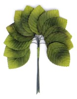 Декоративный букетик "Зеленые листья", 12 шт., MR-DKB201