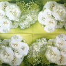 Салфетка для декупажа "Свадебные розы", квадрат, размер 33х33 см, 3 слоя