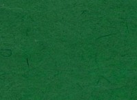 Бумага рисовая, цвет зеленый, 1 лист 24х33 см, артикул DFSC010