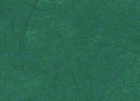 Бумага рисовая, цвет зеленый бриллиантовый, 1 лист 24х33 см, артикул DFTVG020