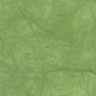 Бумага рисовая, цвет зеленый травяной, 1 лист 24х33 см, артикул DFTVG019