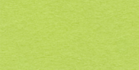 Бумага для квиллинга, цвет зеленый весенний, ширина 10 мм, 100 полос, 120 гр