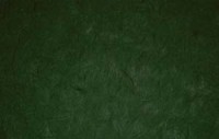Бумага шелковистая тутовая, цвет темно-зеленый, артикул 7113