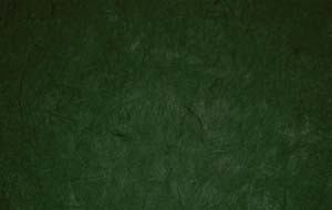 Бумага шелковистая тутовая, цвет темно-зеленый, артикул 7113 лист размер А4, плотность 25гр/м2