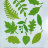 Фигурные бумажные вырубки "Листья" салатовый, 22шт., арт. QS-503194-01