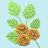 Фигурные бумажные вырубки "Листья розы", желто-зеленые, 7х4,5см, 8 шт., арт. QS-A-08011-01