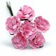 Декоративный букетик розовый, DKB148P Цветы/чашелистик: бумага
Ножка: проволока в бумажной обмотке
Общая длина: 11см
Цветы (6шт.): диаметр соцветия 1,8см. Категория: искусственные цветы (ветки), принадлежности для скрапбукинга или других видов рукоделия