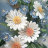 Картина "Полевые цветы-2", квиллинг, 26х20см, GRPK-022