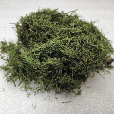 Зеленый сухой мох для поделок, 10 гр., артикул 44488 Упаковка в пакете 9х13 см, 10 гр