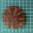 Молд лист лотоса малый для полимерной глины, арт. QS-S90120