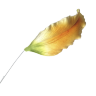Лепестки лилии большие оранжево-зеленые (на проволоке), 13х6 см, 6 шт., арт.TLND-016