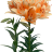 Лепестки лилии большие оранжево-зеленые (на проволоке), 13х6 см, 6 шт., арт.TLND-016