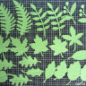 Фигурные бумажные вырубки "Листья" зеленый, 22шт., арт. QS-503194-02