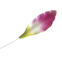 Лепестки лилии малые розово-зеленые (на проволоке), 9х3 см, 6 шт., арт.TLND-011