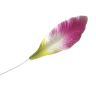 Лепестки лилии малые розово-зеленые (на проволоке), 9х3 см, 6 шт., арт.TLND-011