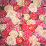Салфетка для декупажа "Всё в розах", квадрат, размер 33х33 см, 3 слоя, арт. SDL-BUL016