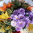 Картина "Осенний вальс", квиллинг, 25х25 см, GRPK-007