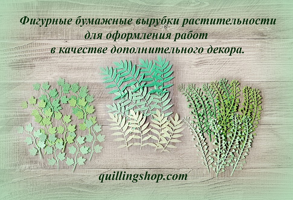 Фигурные бумажные вырубки растительности (листьев)