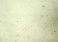 Корейская бумага ханди ручной выделки, светло желтый с вкраплением натуральных листьев, лист А4+, арт. 7092
