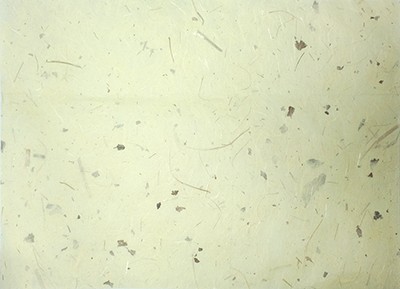 Корейская бумага ханди ручной выделки, светло желтый с вкраплением натуральных листьев, лист А4+, арт. 7092 лист формата А4+ (светло желтый с вкраплением натуральных листьев), плотность 70гр., (используется для листьев, фона, перьев, объемных цветов).