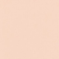 Цветная бумага СВЕТЛО-ПЕРСИКОВЫЙ, плотность 120г/м3, размер А4, 100 листов, артикул VA22