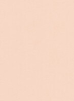 Цветная бумага СВЕТЛО-ПЕРСИКОВЫЙ, плотность 120г/м3, размер А4, 100 листов, артикул VA22