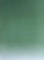 Бумага цветная с градиентом зеленый-белый, 1 лист, формат А4, плотность 120 гр., артикул GRA406